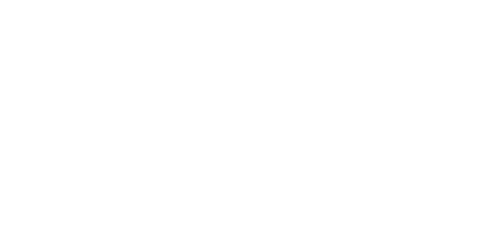 Risk Wise